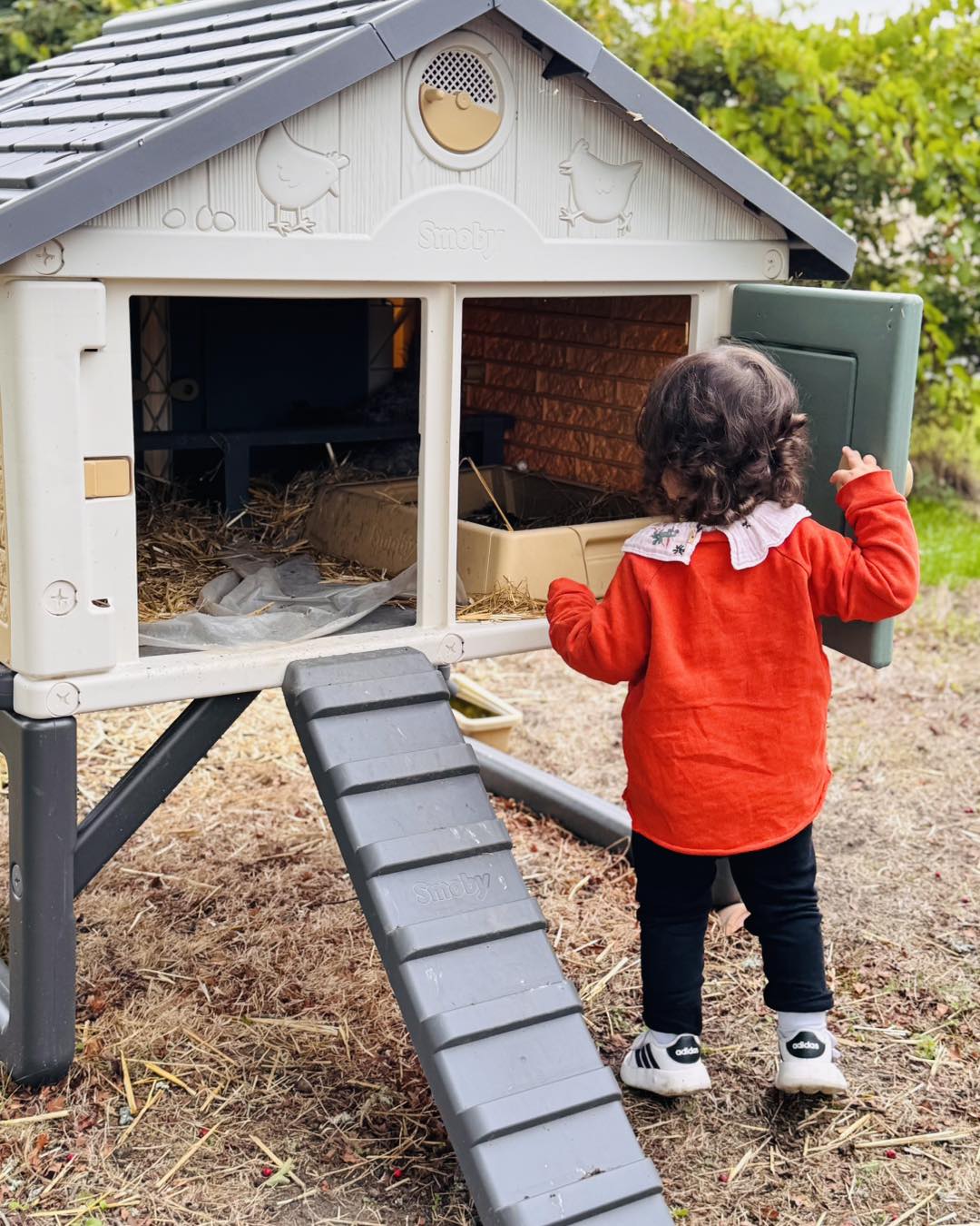 Activités intergénérationnelles à la mini-ferme
